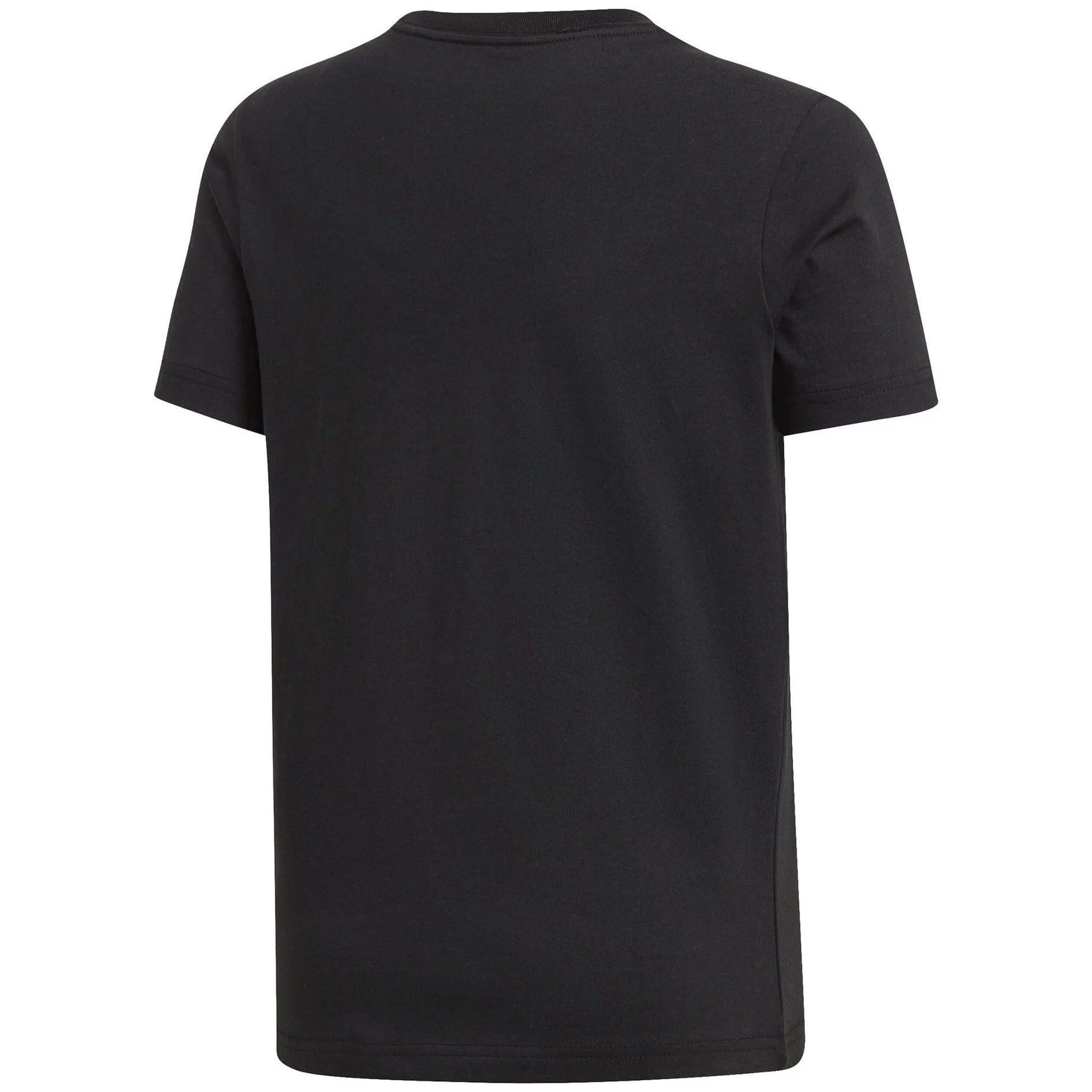 Imagen del producto con referencia DV1811-NEGRO
