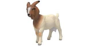 Figuras Y Minimundos Schleich Cabra Bóer multicolor para unisex