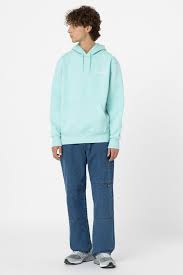 Sudaderas Dickies Dk0A4Yeog031-Turquesa multicolor para hombre