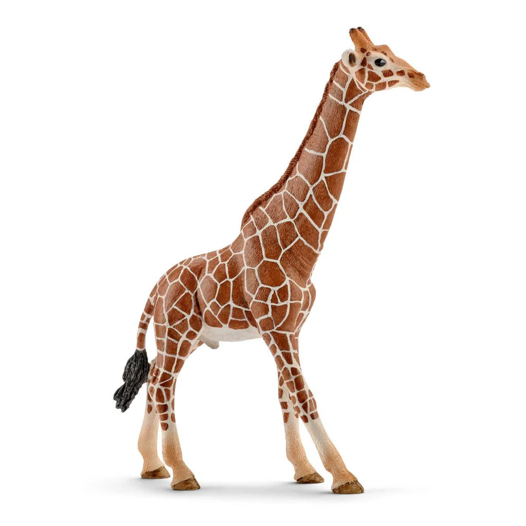 Figuras Y Minimundos Schleich 14749-Marrón multicolor para juguetes