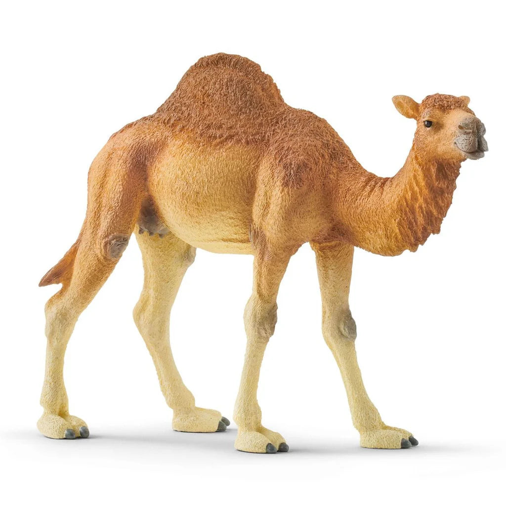 Figuras Y Minimundos Schleich 14832-Beige multicolor para juguetes