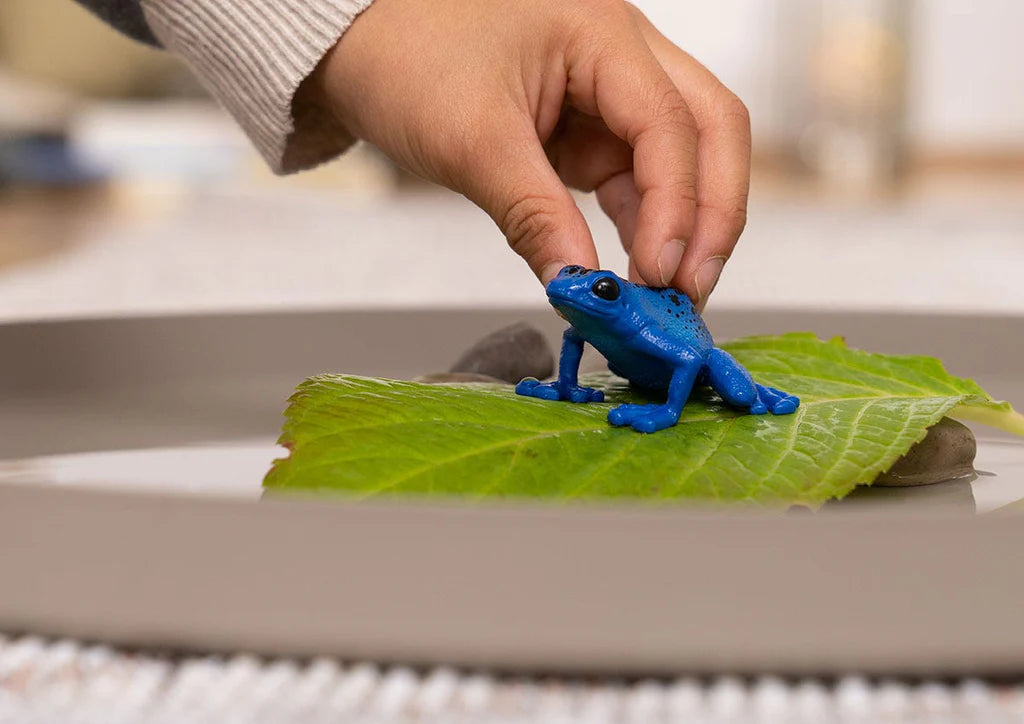 Figuras Y Minimundos Schleich Pfeilgiftfrosch Rana azul  para niños