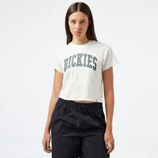 Camisetas Y Polos Dickies Dk0A4Ys8C581-Beig multicolor para mujer