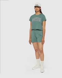 Camiseta Dickies Dk0A4Ys8H151-Green multicolor para mujer