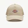 Gorras, Gorros Y Sombreros Dickies Haston Trucker beige para hombre