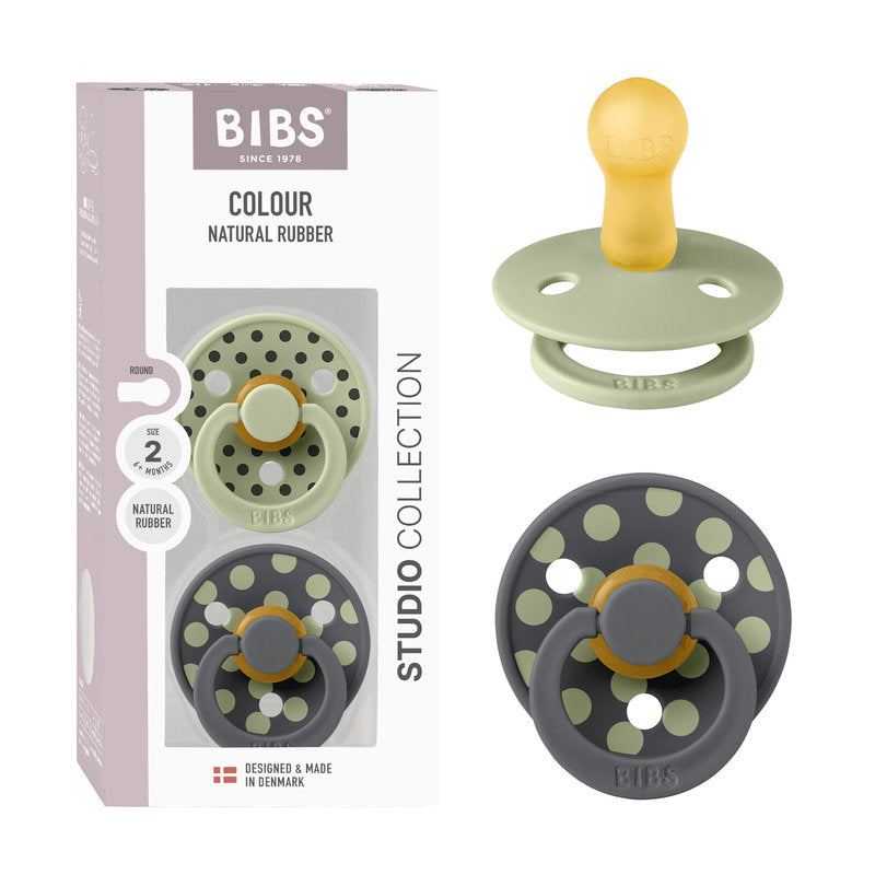 Lactancia Bibs 2 Chupetes Bibs Colour Round Sage-Iron 6-18 Meses multicolor para bebe